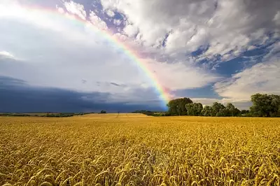 Maison neuve, 90 m²