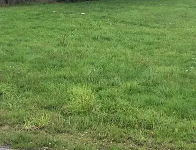 Terrain à bâtir, 410 m²