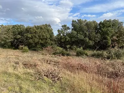 Terrain à bâtir, 750 m²