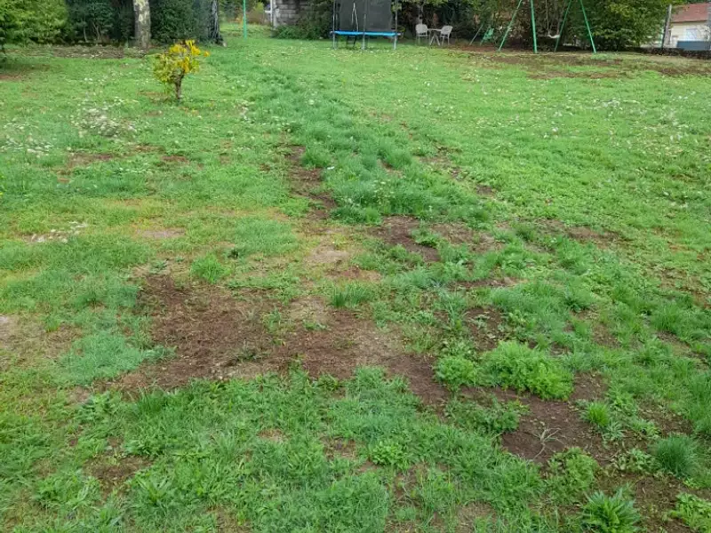 Maison neuve, 85 m² - Saint-priest-taurion (87480)