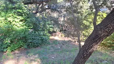 Terrain à bâtir, 455 m²