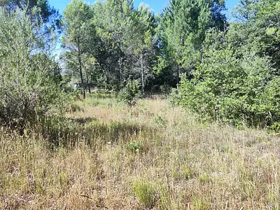 Terrain à bâtir, 1 397 m²