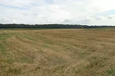 Maison neuve, 69 m²