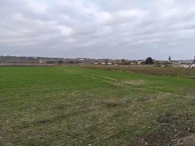 Maison neuve, 80 m²