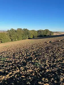 Maison neuve, 50 m²