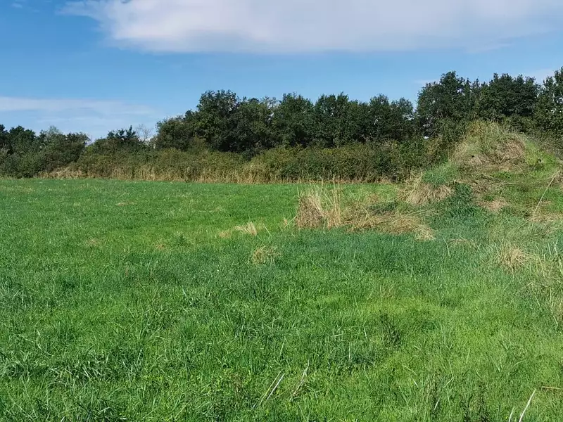 Maison neuve, 102 m² - Meillard (03500)