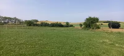 Terrain à bâtir, 800 m²