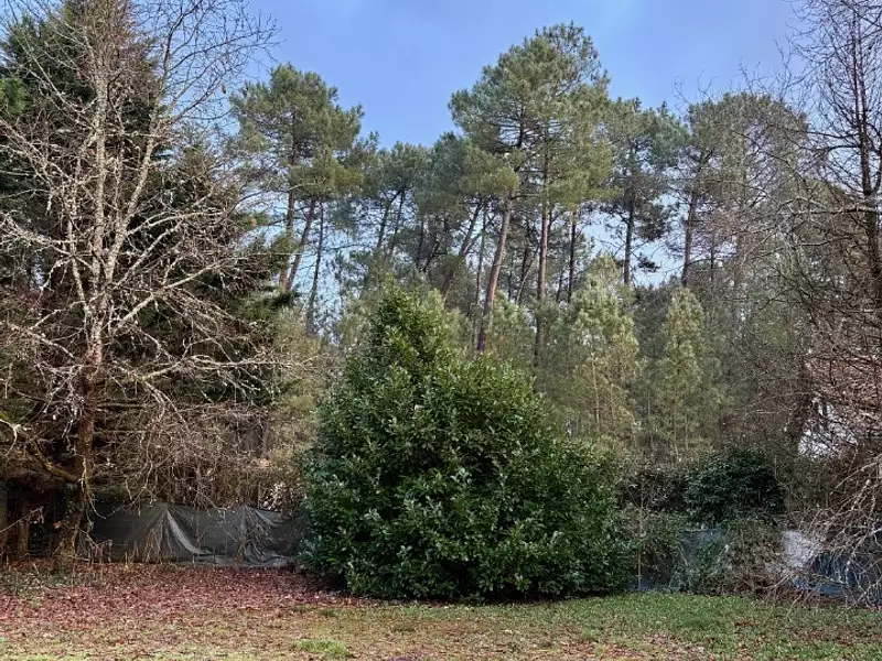 Terrain à bâtir, 700 m² - Martillac (33650)
