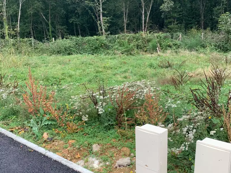 Terrain à bâtir, 336 m² - Baulne (91590)