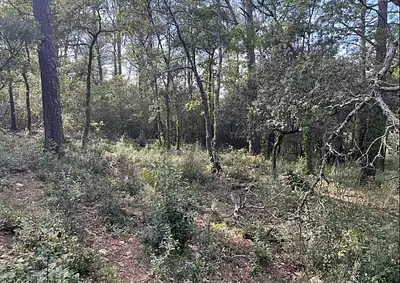 Terrain à bâtir, 559 m²