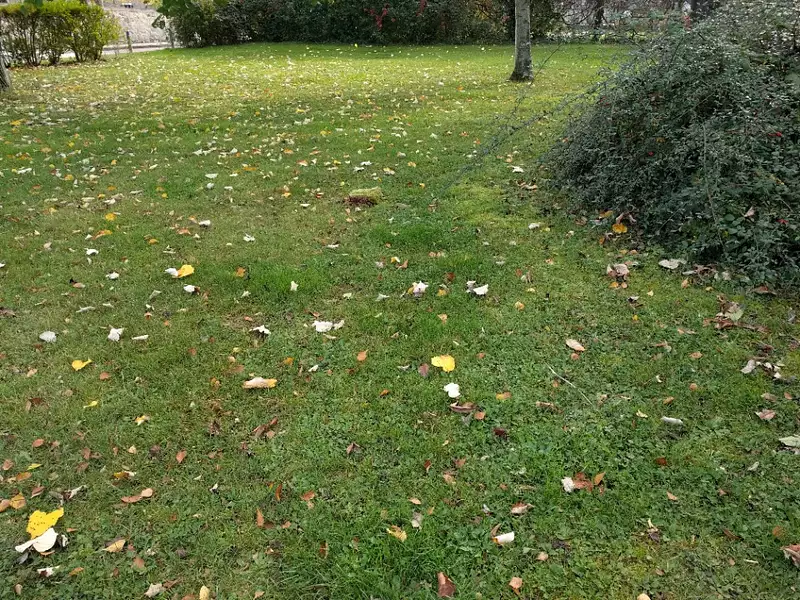 Maison neuve, 89 m² - Saint-Fargeau-Ponthierry (77310)