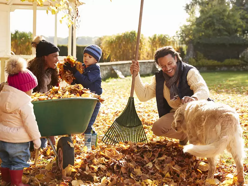 VALENCE ROSSINI - Valence (26000)