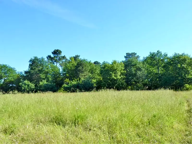 Terrain à bâtir, 800 m² - Camblanes-et-Meynac (33360)