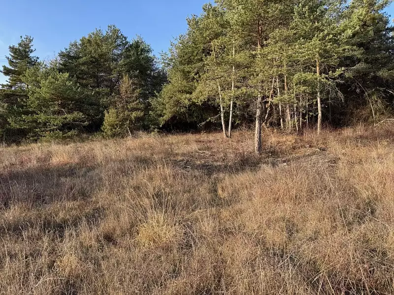 Terrain à bâtir, 1 192 m² - Tallard (05130)