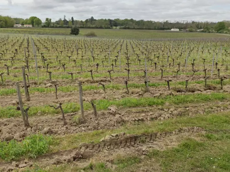 Terrain à bâtir, 320 m² - La Lande-de-Fronsac (33240)