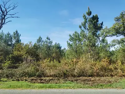 Terrain à bâtir, 450 m²