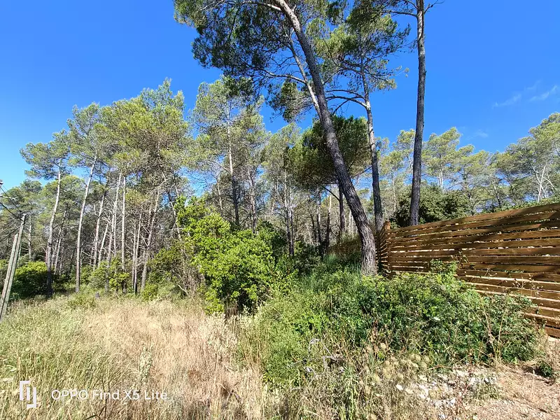 Terrain à bâtir, 1 201 m² - Bagnols-en-Forêt (83600)