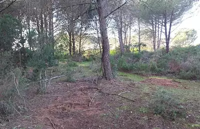 Maison neuve, 50 m²