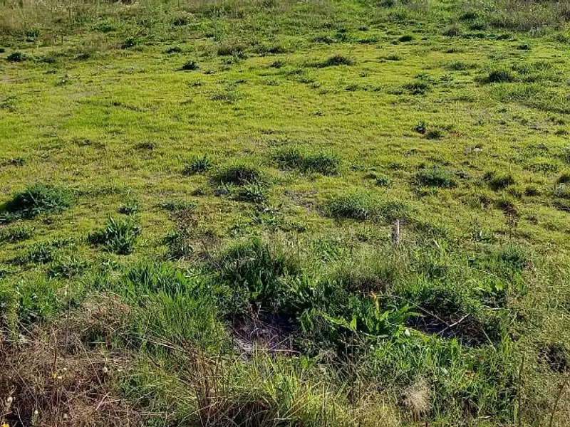 Terrain à bâtir, 502 m² - Préfailles (44770)