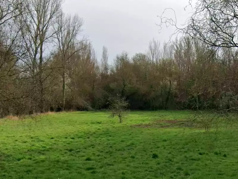 Maison neuve, 90 m² - Saint-Hilaire (31410)