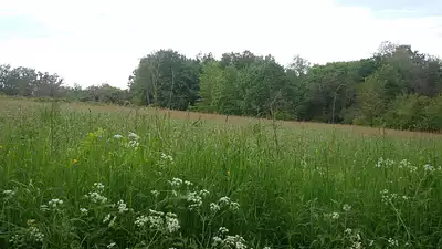 Terrain à bâtir, 3 700 m²