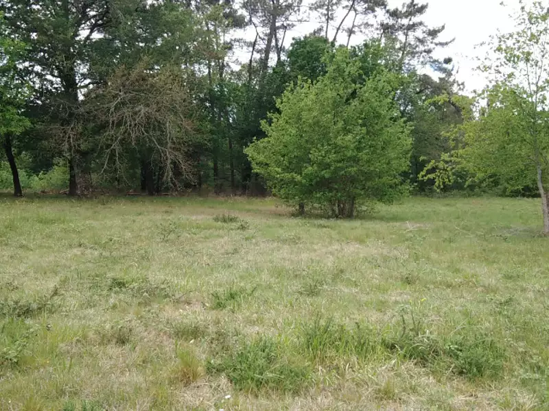 Terrain à bâtir, 1 600 m² - Saint-Barthélemy-de-Bellegarde (24700)