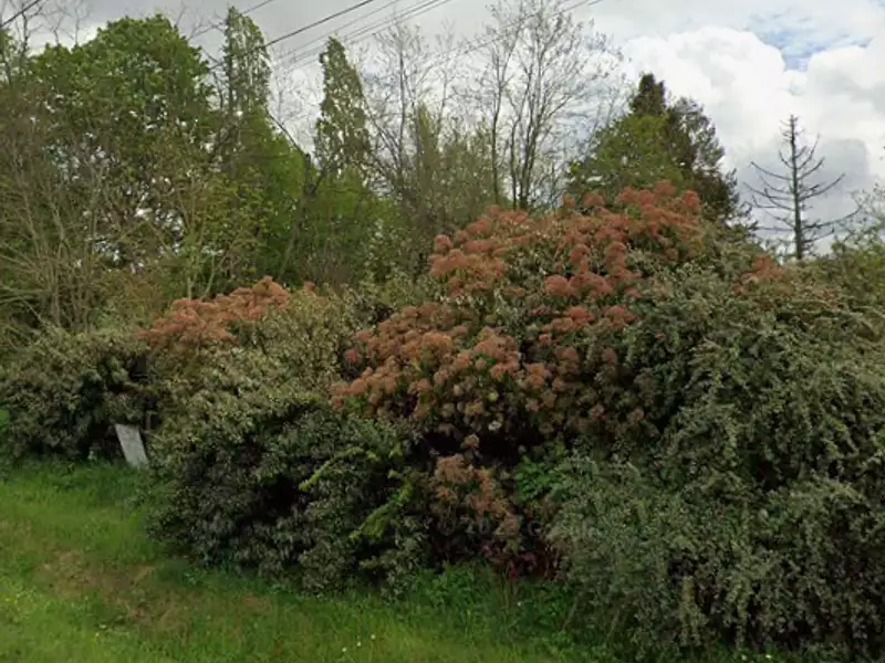Terrain à bâtir, 842 m² - Châteauneuf-sur-Loire (45110)