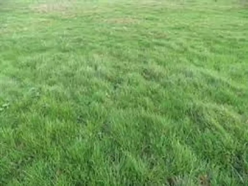 Terrain à bâtir, 1 417 m² - Barbey (77130)