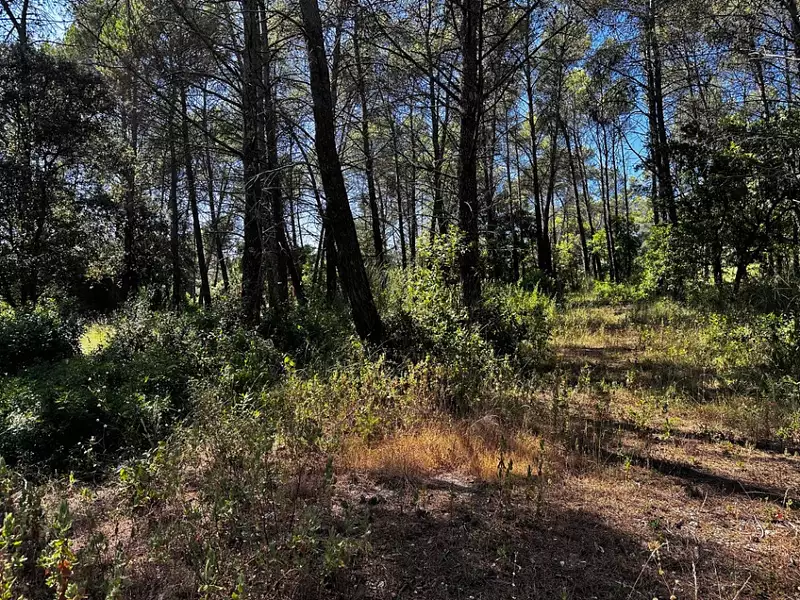 Terrain à bâtir, 1 200 m² - Fréjus (83600)