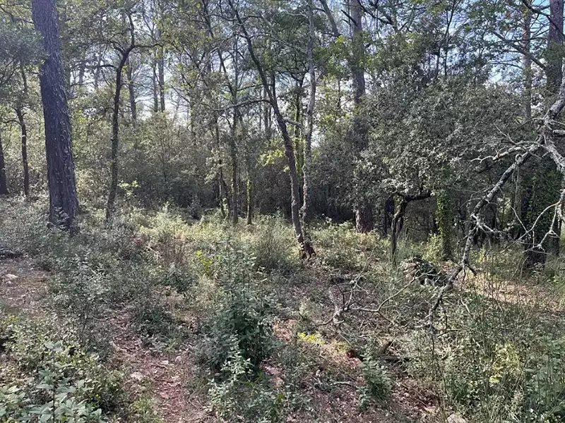 Maison neuve, 80 m² - La Roquebrussanne (83136)