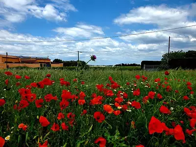 Maison neuve, 73 m²