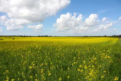 Maison neuve, 111 m²