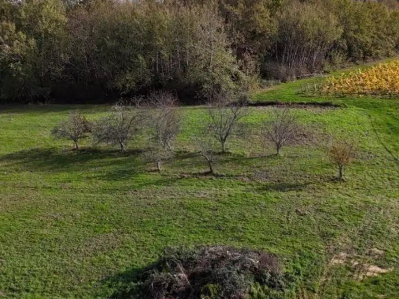 Terrain à bâtir, 2 500 m² - Cabanac-et-Villagrains (33650)