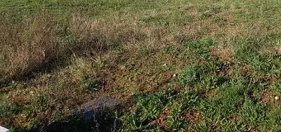 Maison neuve, 70 m²