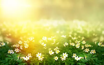 Maison neuve, 105 m²