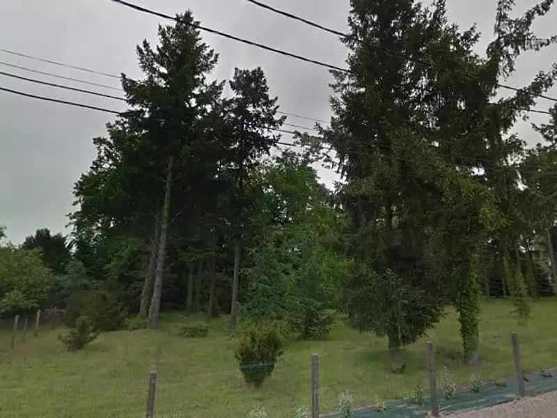 Terrain à bâtir, 1 000 m² - Solterre (45700)