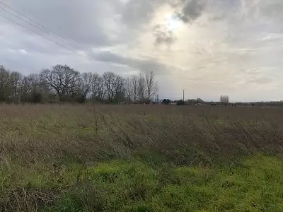 Terrain à bâtir, 509 m²