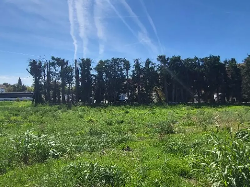 Maison neuve, 71 m² - Sénas (13560)