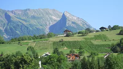 Première Vue