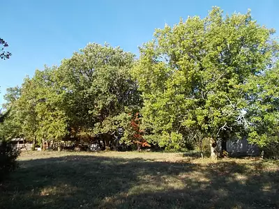 Maison neuve, 100 m²