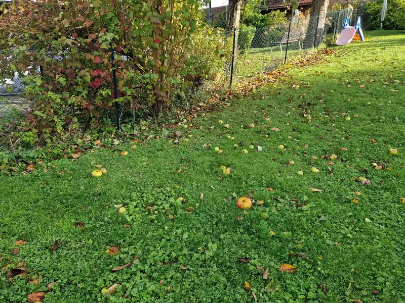 Terrain à bâtir, 501 m² - Montivilliers (76290)