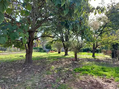 Maison neuve, 115 m²