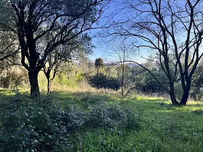 Terrain à bâtir, 800 m²