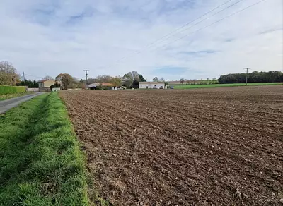 Maison neuve, 75 m²