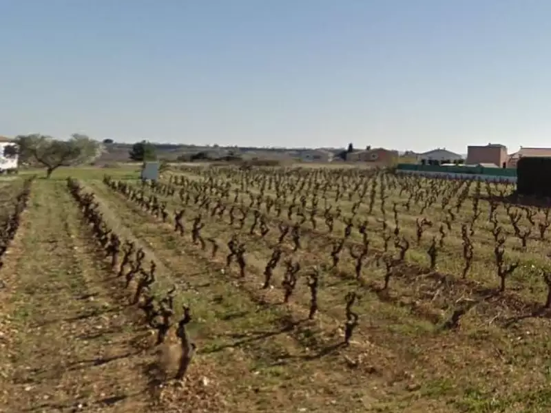 Terrain à bâtir, 704 m² - Cruzy (34310)