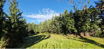 Terrain à bâtir, 299 m²