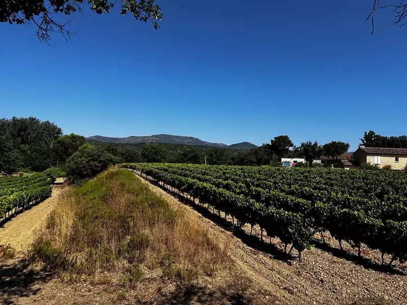 Terrain à bâtir, 621 m² - Saint-Tropez (83990)