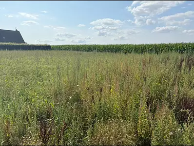 Terrain à bâtir, 879 m²