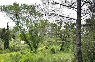 Terrain à bâtir, 782 m²