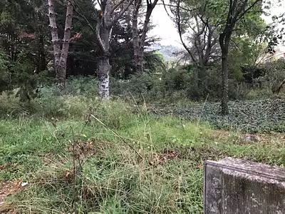 Terrain à bâtir, 1 300 m²